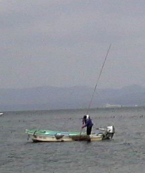 宍道湖のシジミ漁師