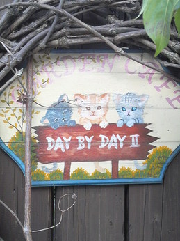 DAY BY DAY II のネコ看板