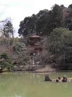 浄瑠璃寺の三重塔