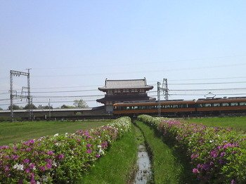 朱雀門に見切れる近鉄特急