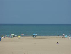 青い海，白い砂浜，点在するパラソル